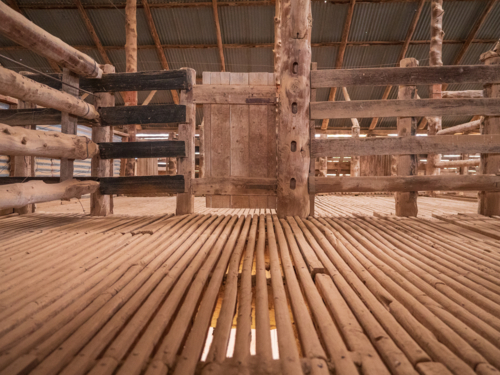 Mungo Woolshed, Mungo National Park - Australian Stock Image