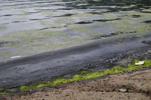 Murky shore - Australian Stock Image