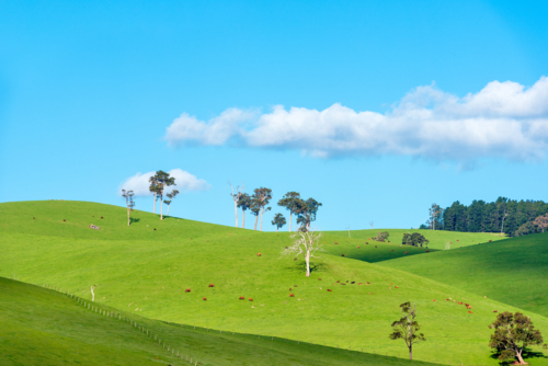 Nannaup Farmland Western Australia - Australian Stock Image