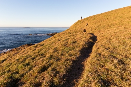 Narrow walking track on a grassy headland - Australian Stock Image