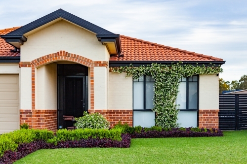 Neat house with ordered garden, lawn and vine growing on front of house