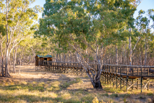 Nhill Boardwalk and Lookout - Australian Stock Image