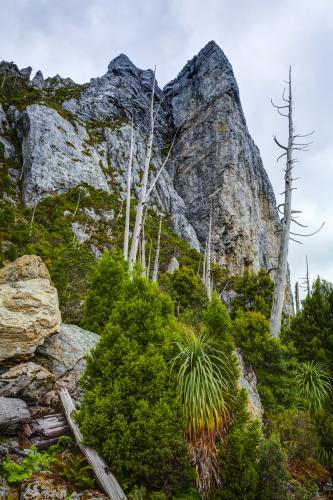 Nicoles Needle - Australian Stock Image