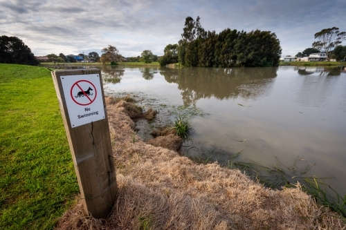 'No Swimming' sign beside a local lake