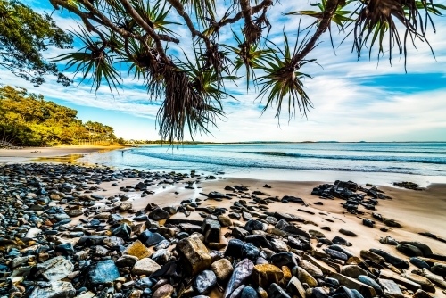 Noosa Beach with rocks and pandanas - Australian Stock Image