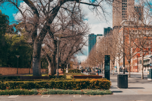 North Terrace, Adelaide in Winter with Bare Trees and Cityscape - Australian Stock Image