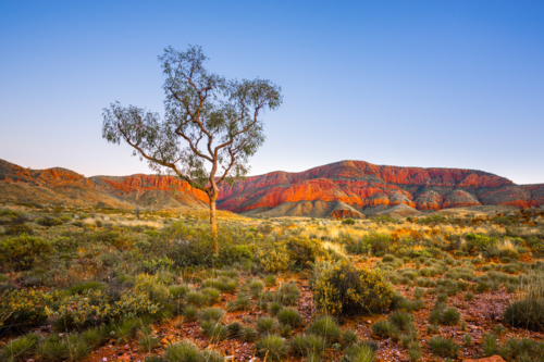 Northern Territory Landscape - Australian Stock Image