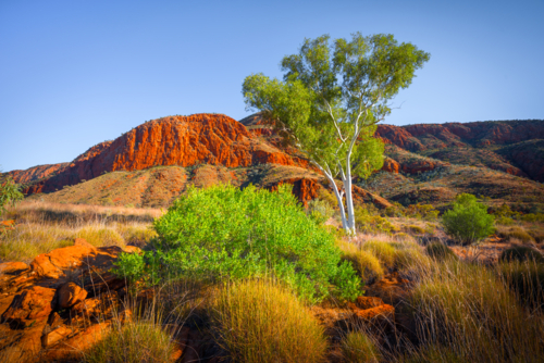 Northern Territory Landscape in bright sunlight - Australian Stock Image