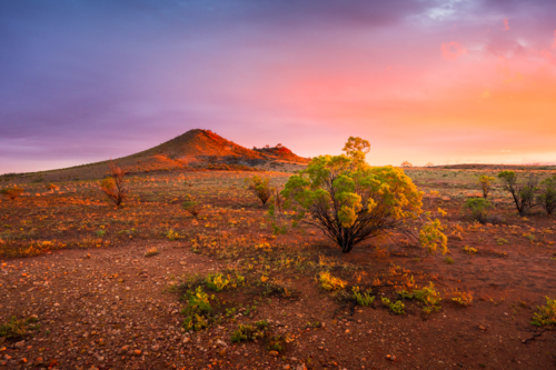 Northern Territory Landscape in soft sunset light - Australian Stock Image