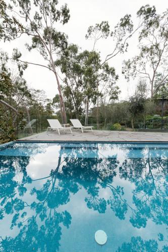 Oasis of an Australian home backyard swimming pool surrounded by native gum trees