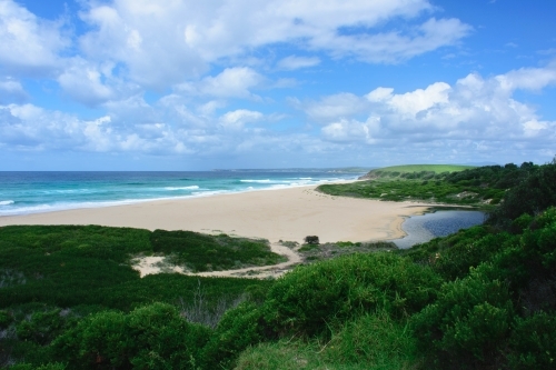 Ocean and beach landscape with green shrubbery in the foreground - Australian Stock Image