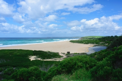 Ocean and beach landscape with green shrubbery in the foreground