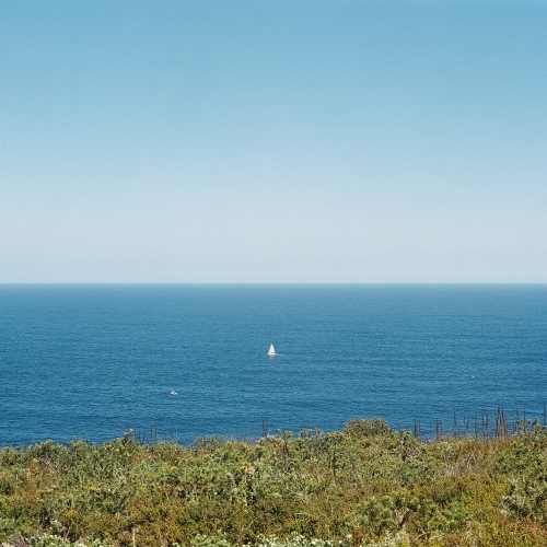 Ocean Landscape with Green Scrub Headland in Foreground