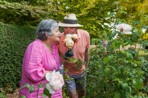 Old couple playfully smelling white roses