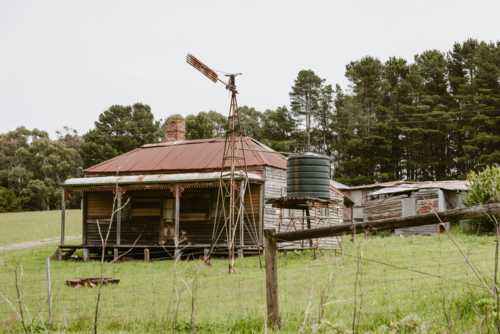 old farm cottage with a water tower tank and pine trees in the background - Australian Stock Image