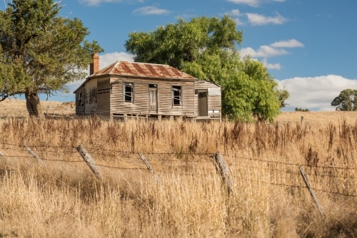 Old farmhouse in dry paddock of long grass