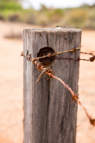 old fence post with barbed wire - Australian Stock Image