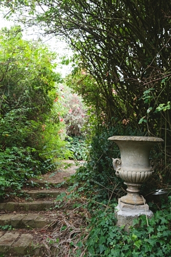 Old overgrown path filled with foliage and ivy