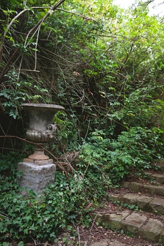 Old overgrown path in garden - Australian Stock Image