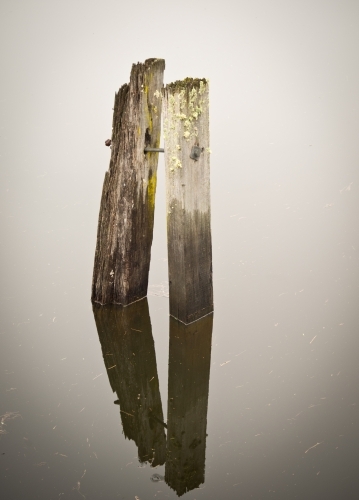 Old Pier Posts Reflection - Australian Stock Image