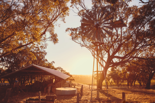 Old rusty windmill on a farm in McLaren Vale at sunset, South Australia - Australian Stock Image
