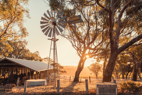 Old rusty windmill on a farm in McLaren Valley at sunset in golden light, South Australia - Australian Stock Image