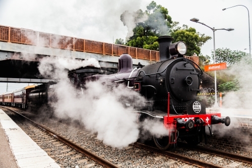 Old steam train engine at Steamfest pulling out of the train station in Maitland - Australian Stock Image
