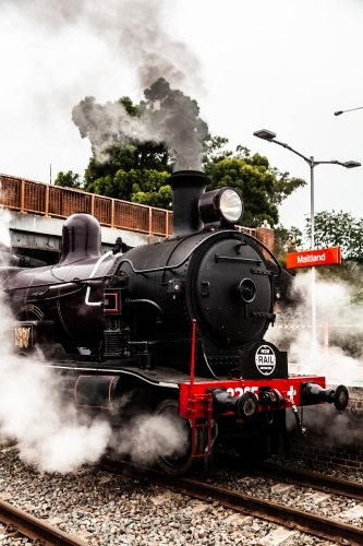 Old steam train engine at Steamfest pulling out of the train station in Maitland - Australian Stock Image