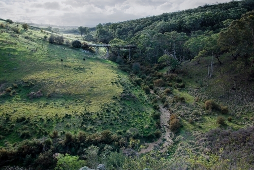 Old timber railway bridge - Australian Stock Image