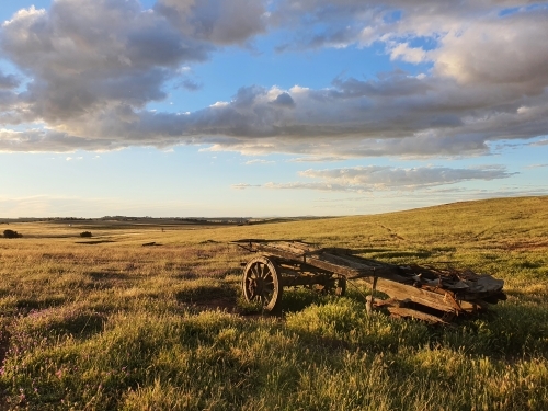 old wagon in paddock at sunset - Australian Stock Image