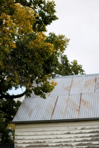 Old weathered work sheds surrounded by autumn trees - Australian Stock Image
