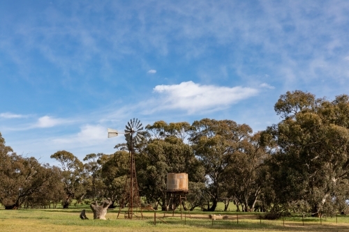 old windmill and water tank near trees - Australian Stock Image