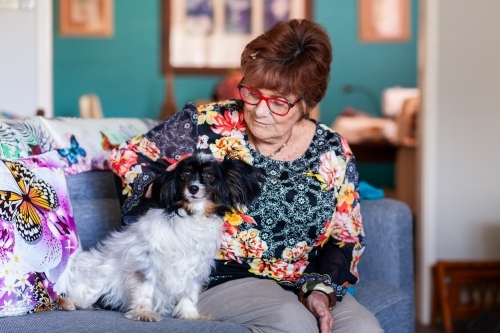 Older woman sitting in her home with her pet dog - Australian Stock Image