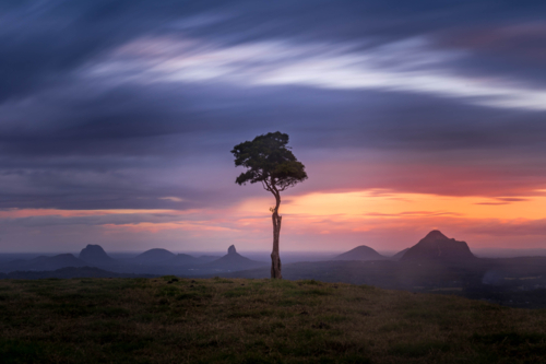 One Tree Hill - Australian Stock Image