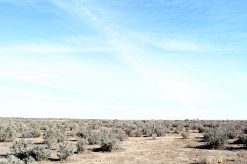 Open, treeless plains