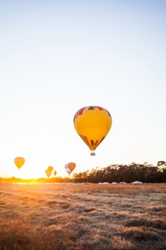 Orange dawn and hot air balloons taking off over paddock - Australian Stock Image