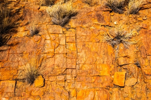 Orange/rust coloured rock with grasses growing between the cracks in the rock. - Australian Stock Image
