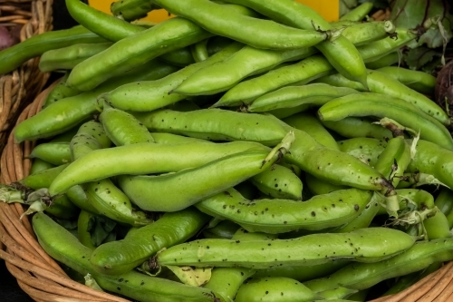 Organic broadbeans in a basket at a farmer's market