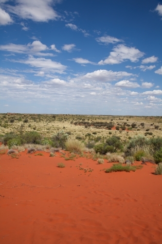 Outback landscape with red dirt and dry grass - Australian Stock Image