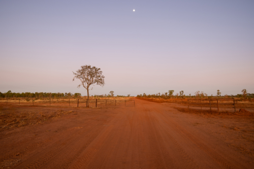 Outback Red Dirt Track at dawn with moonrise and fence - Australian Stock Image