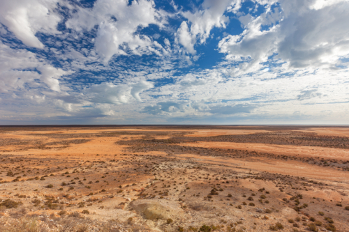 Outback Shark Bay Western Australia - Australian Stock Image
