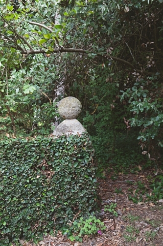 Overgrown old garden with paths filled with foliage and ivy