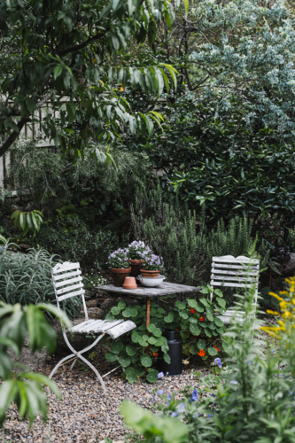 overgrown summer garden with table and chairs - Australian Stock Image