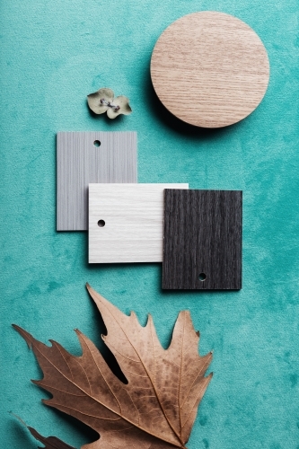 Overhead flat lay of interior design elements for an autumn mood board
