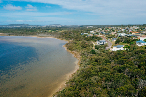 Oyster Harbour Bayonet Head - Australian Stock Image