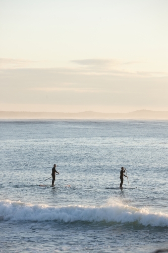 Paddle boarders on ocean at sunrise - Australian Stock Image