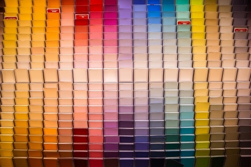 paint samples at a hardware shop