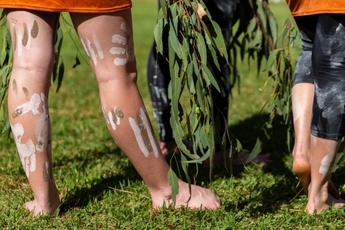 Painted legs of first nations dancers holding gum leaves for ceremony - Australian Stock Image