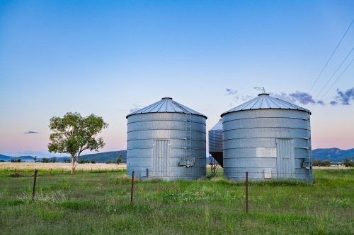 pair of farm silos in paddock at dusk with gum tree - Australian Stock Image