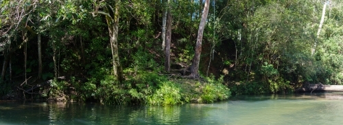 Panorama shot of green pond in bushland